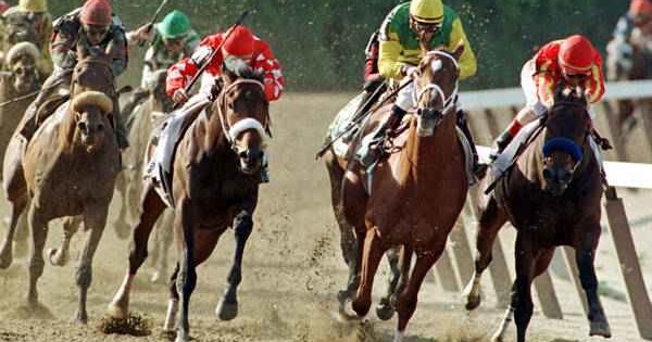 Does Santa Ana Park broadcast live racing on television or online?